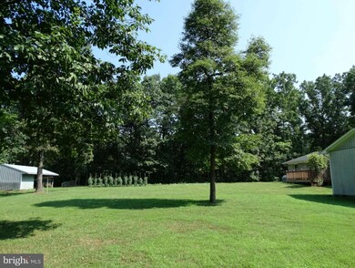 992 Advance Mills Rd, Ruckersville, VA 22968 - photo 5