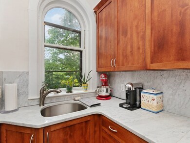 340 Tappan St unit 1, Brookline, MA 02445 - photo 4