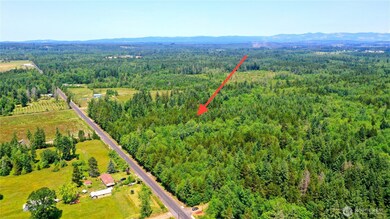 0 Boone Rd unit NWM2362322, Toledo, WA 98591 - photo 2