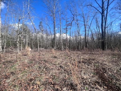 0 Kyuga Dr unit 1387412, New Hope, TN 37380 - photo 3