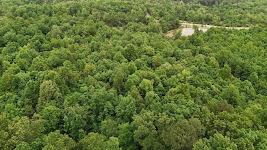 Tract 19 Pine Ridge Ln, Clinton Township, MO 65689 - photo 5