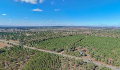 000 Avera Rd, Roberta, GA 31078 - photo 5