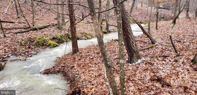 17 Cedar Tree Ln, Moorefield, WV 26836 - photo 7