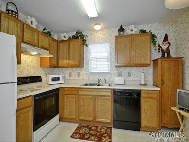 1106 Deermouse Way, Hendersonville, NC 28792 - photo 5