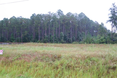 1715 Haidlyns Way, Sour Lake, TX 77659 - photo 3