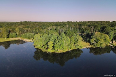 2 Lena Rd, Forestburgh, NY - photo 5