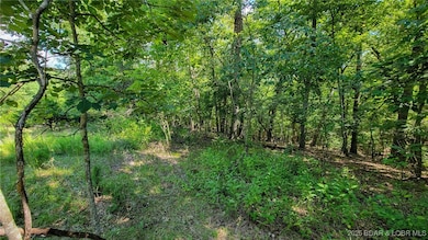 Lot #866 Grand Cypress, Jasper Township, MO 65079 - photo 7