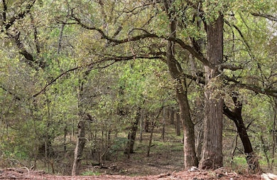 Tract 7, TBD County Road 3204, Abbott, TX 76621 - photo 3