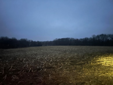 0 N Bellview Rd unit 202507343, Freeport, IL 61032 - photo 3