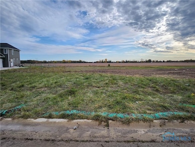 25216 John F McCarthy Way, Perrysburg, OH 43551 - photo 5