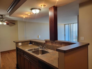 1043 S York Rd unit 605, Bensenville, IL 60106 - photo 7