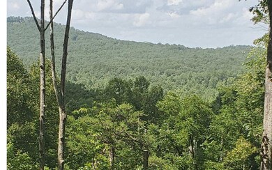 Additional View