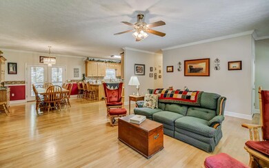 295 Carson Cove Rd, Ellijay, GA 30540 - photo 4