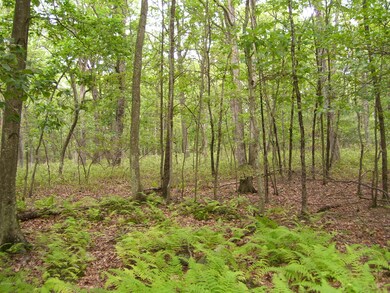 Lot 149 Mountain Top Rd, Lackawaxen Township, PA 18435 - photo 2