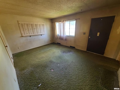 2930 N Lincoln Ave, Davenport, IA 52804 - photo 4