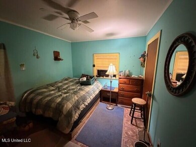 1733 Smith County Road 581, Raleigh, MS 39153 - photo 3