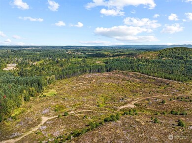 0 Salmon Creek Rd unit NWM2156058, Toledo, WA 98591 - photo 5