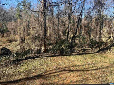 158 Buckingham Cir unit A&B, Charlottesville, VA 22903 - photo 5