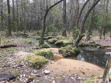 7900 Chellie Rd, Northwest Pensacola, FL 32526 - photo 3