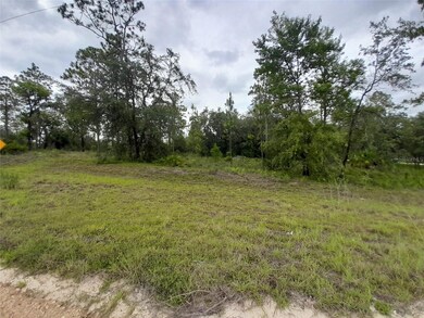 TBD SE 71st Place, Morriston, FL 32668 - photo 5