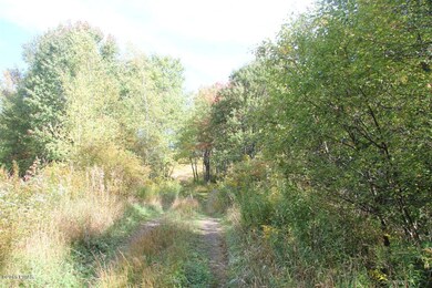 690 Church St, Moscow, PA 18444 - photo 5