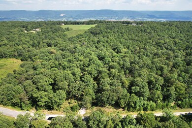 2-web-or-mls-DJI_0020