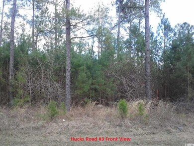 7363 Hucks Rd, Conway, SC 29526 - photo 6