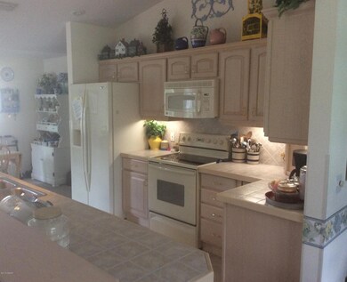 kitchen view 1