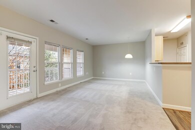 22607 Blue Elder Terrace unit 301, Ashburn, VA 20148 - photo 4