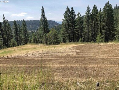 0 Malhuer Home unit 20598619, Prairie City, OR 97869 - photo 6