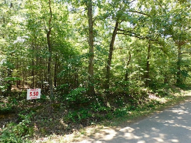 3.50 AC Neals Corner Rd, Clover, VA 24534 - photo 3