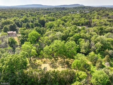 83 Readington Rd, Whitehouse Station, NJ 08889 - photo 2