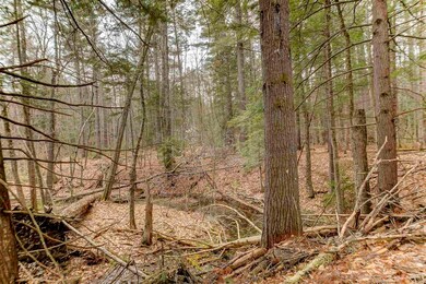 00 Hurricane Mountain Rd, North Conway, NH 03860 - photo 7