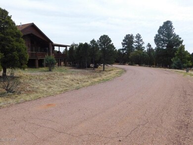 2276 Thunderbird Way (4)