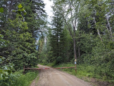 1791 Pup Paw Trail, Priest River, ID 83856 - photo 5