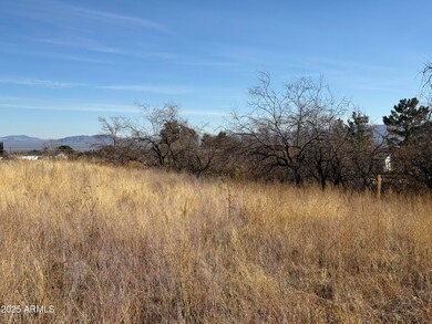 1ac S Gold Creek -- unit C, Hereford, AZ 85615 - photo 5