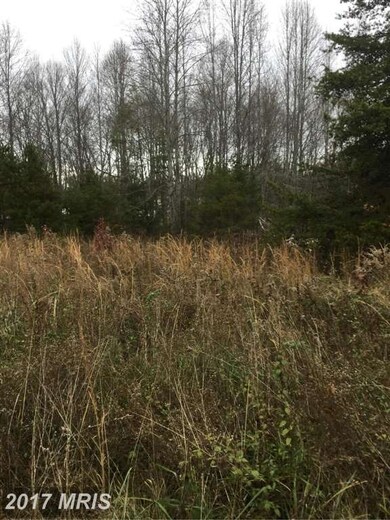 20447 Shady Grove Ln, Orange, VA 22960 - photo 3