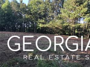 4143 Talking Rock Rd, Talking Rock, GA 30175 - photo 3