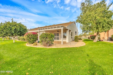 Back Yard Maintained By HOA