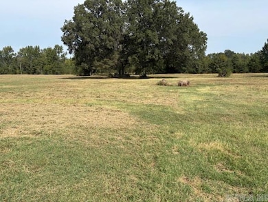 1524 Bland Chapel Rd, Ward, AR 72176 - photo 2