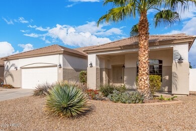 05 Smoke Tree 74