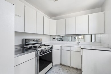 253 E Delaware Place unit 20G-E, Chicago, IL 60611 - photo 6