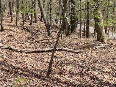 155 Chelaque Way, Mooresburg, TN 37811 - photo 6