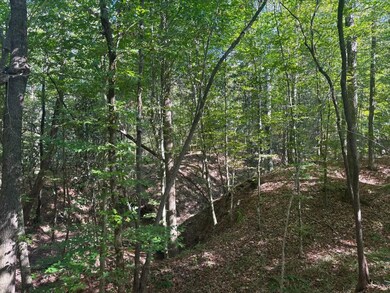 McDonald Rd, Florence, MS 39073 - photo 3