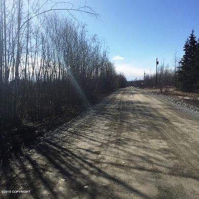 2669 S Walnut Wood Dr, Big Lake, AK 99652 - photo 3