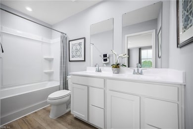 217 Myrtle Ln, South Mills, NC 27976 - photo 4