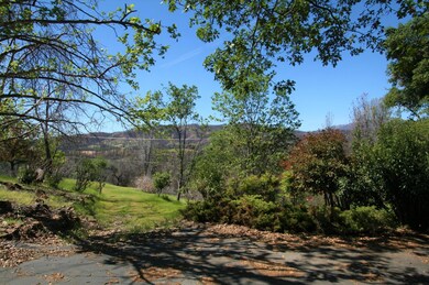 Shade trees