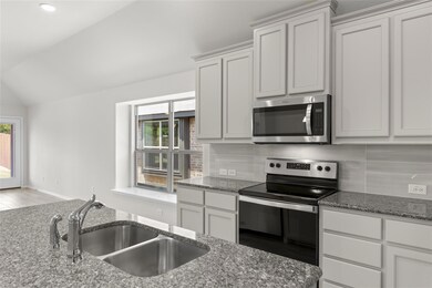 10312 Dittany Ln, Fort Worth, TX 76036 - photo 6