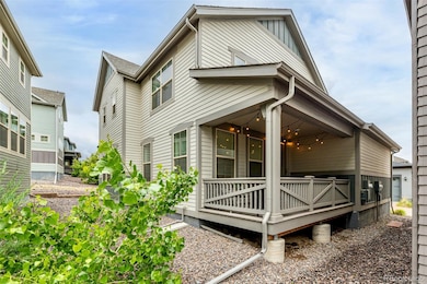 9723 Bennett Peak St, Littleton, CO 80125 - photo 4