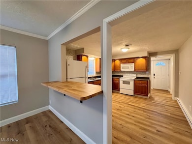 1131 Windermere Dr, Willoughby, OH 44094 - photo 6